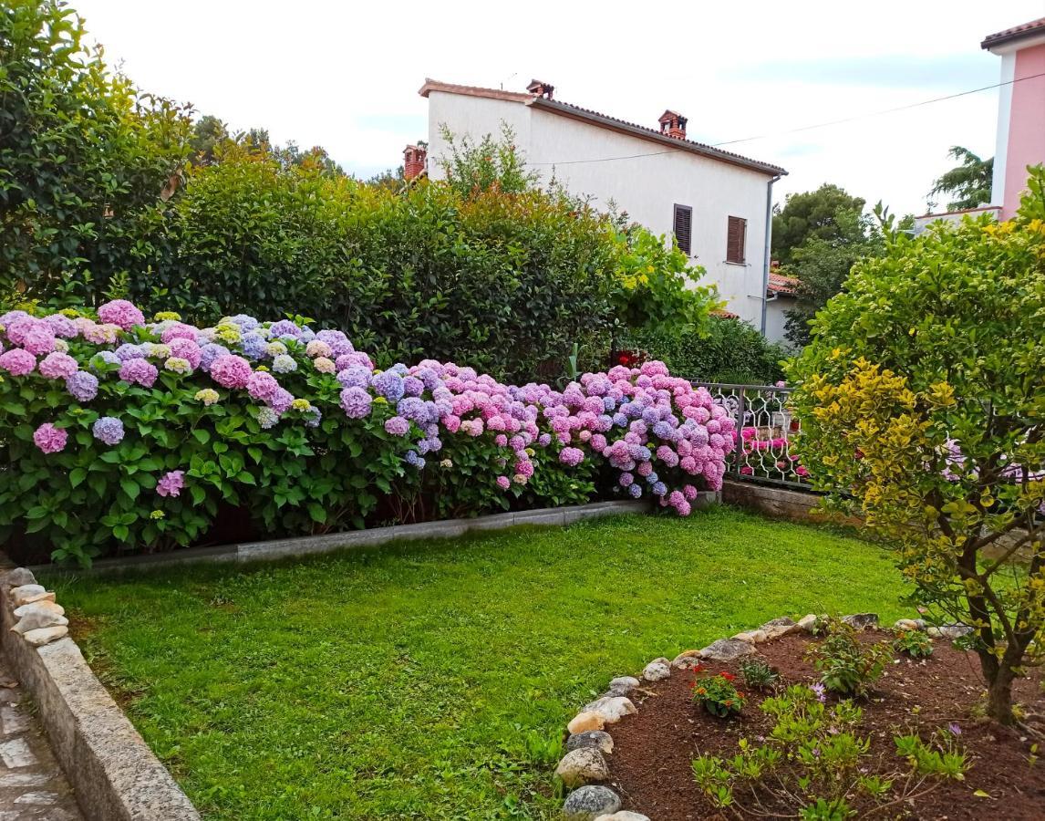 Apartments Villa Katana Poreč Eksteriør billede